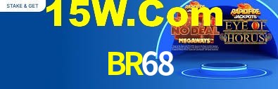 BR68 App Interface